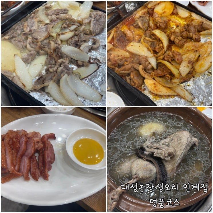  수원 인계동 오리고기 전문점 대성농장생오리 인계점 명품코스 후기