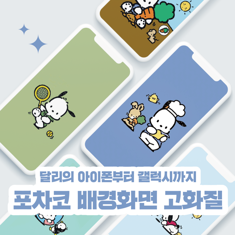 포차코 배경화면 고화질 아이폰부터 갤럭시까지