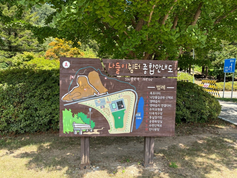 사진 4
