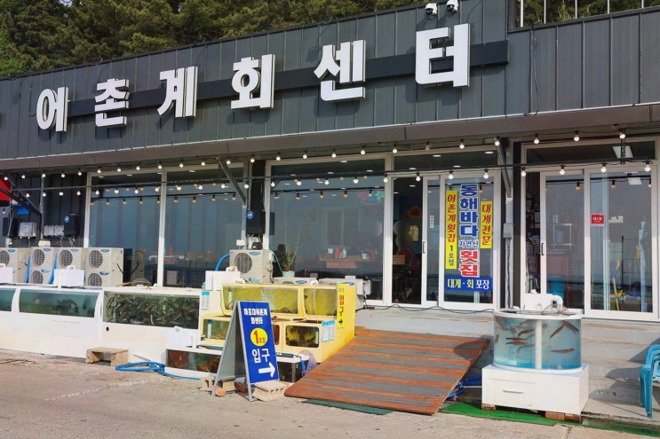  [하조대어촌계회센터 1호점] 신선한 대게를 즐길 수 있는 하조대 횟집