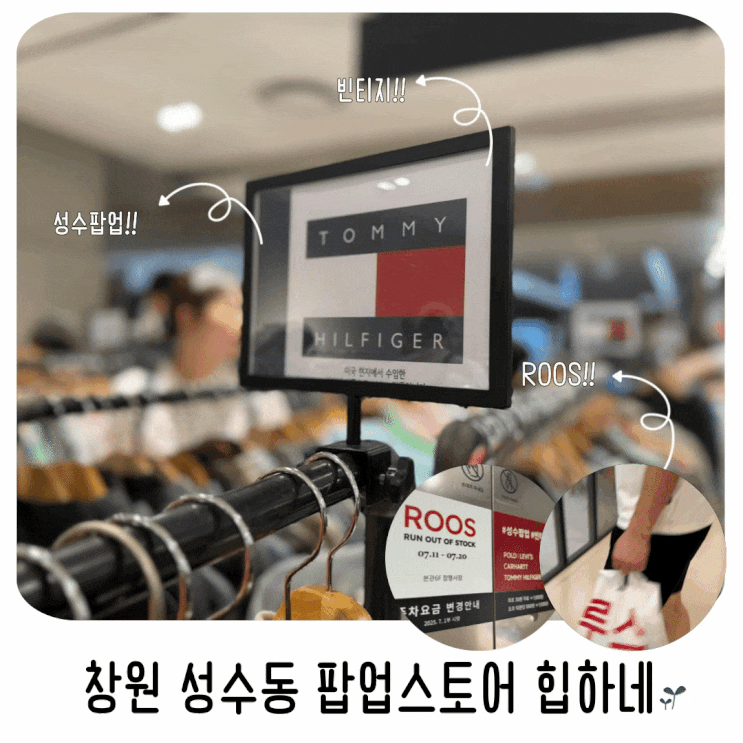  창원 롯데백화점 성수동 팝업스토어 루스 성수팝업 힙하네