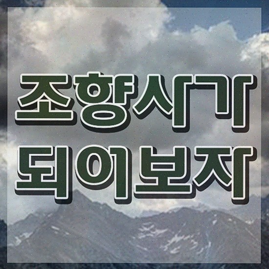  , 조향사자격증 준비 과정 , 활용방법