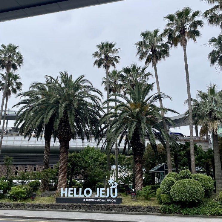 #250717 4박5일 제주도여행 - 김포공항 아시아나 라운지 등