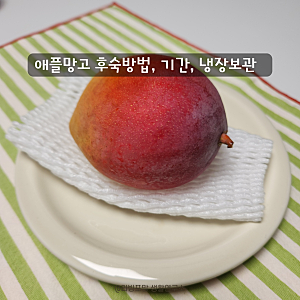상온에서 애플망고 후숙 보관 방법 기간 총정리
