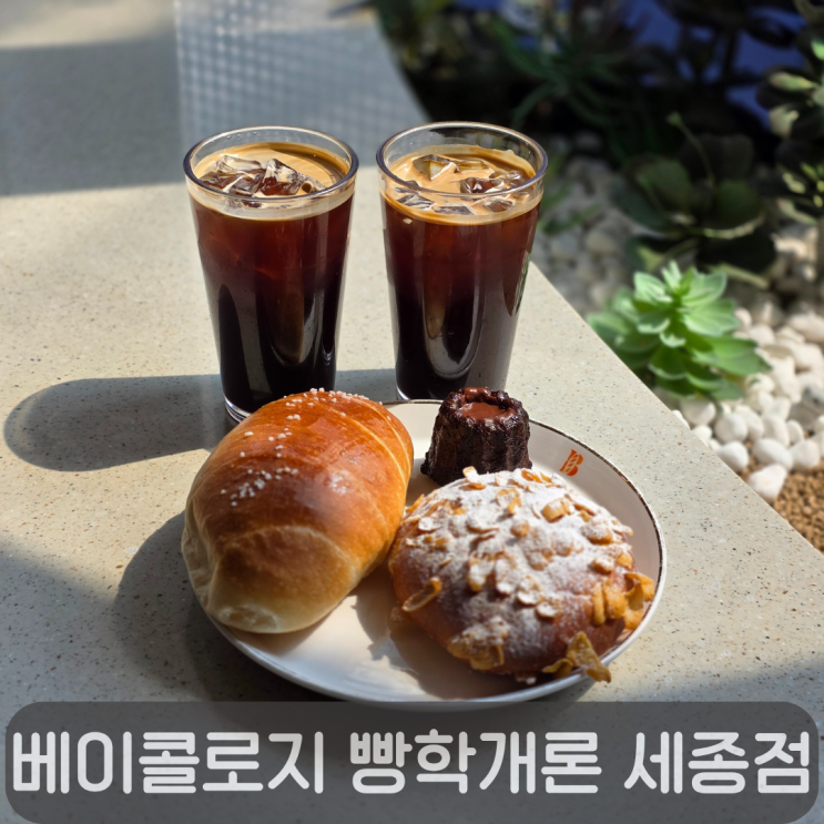  나성동에서 만난 24시간 베이커리카페, 베이콜로지 세종점