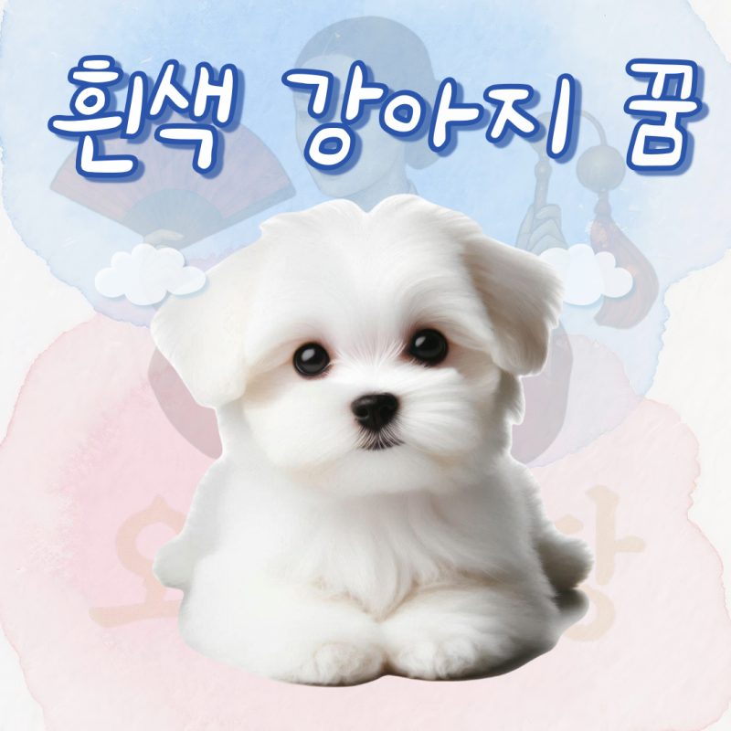 흰색 강아지 꿈 해몽