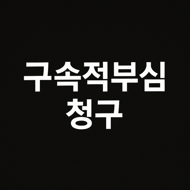 <b>윤석열</b> 전 대통령 <b>구속적부심</b> 청구