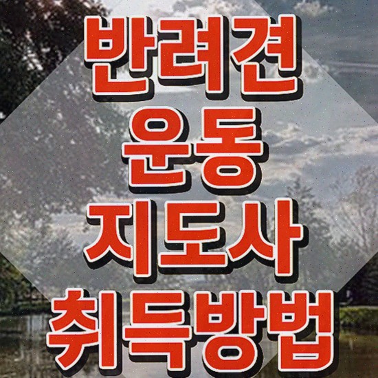  반려견운동지도사 무료 인강 , 동영상으로 반려견운동지도사 합격한 팁