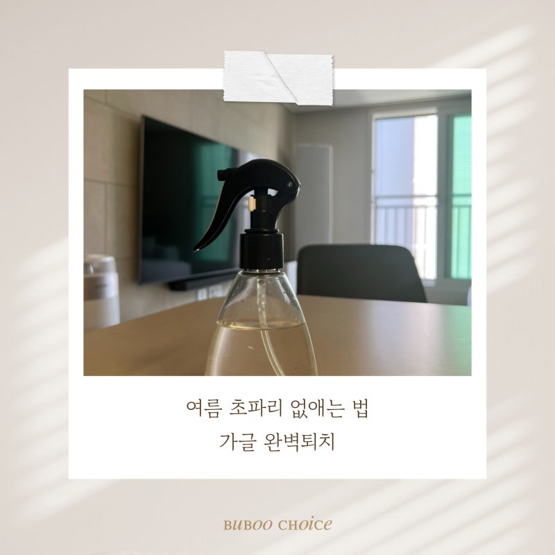 여름 초파리 없애는 법 가글 완벽 퇴치