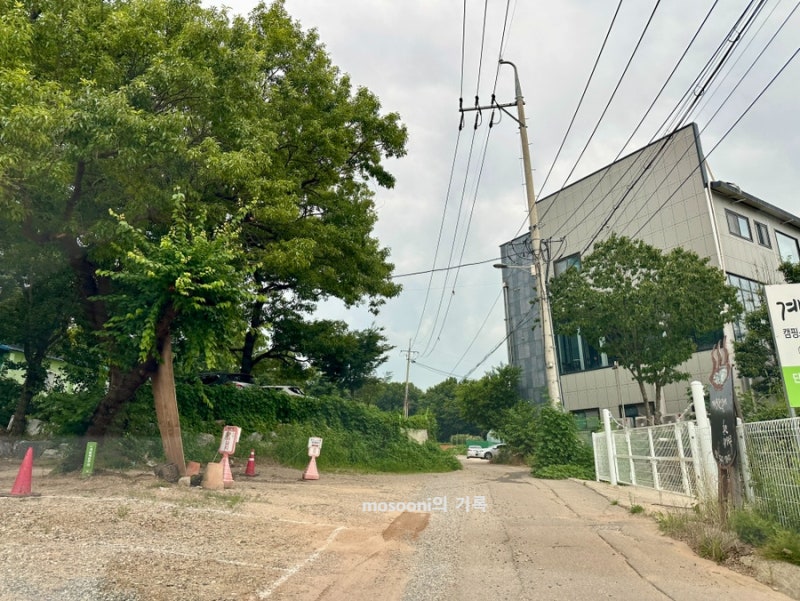 모모토리