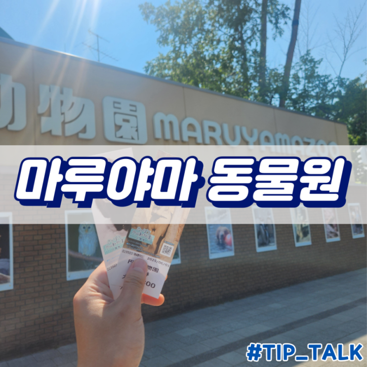  삿포로 마루야마 동물원 내돈내산 후기