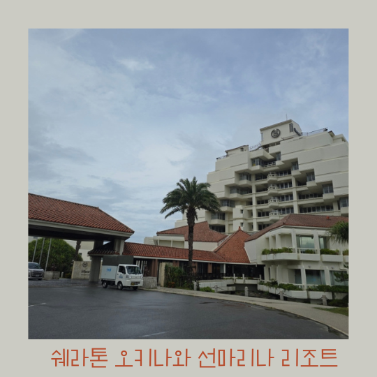  오키나와 쉐라톤 선마리나 리조트 - 객실 내부와 이용 팁
