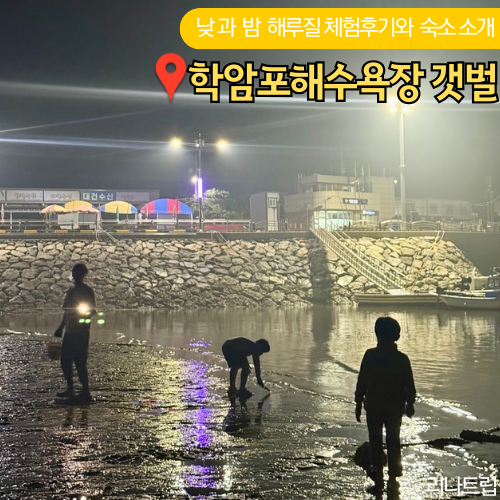  학암포 갯벌 해수욕장 낮 야간 해루질 초등 체험후기와 글램핑 숙소