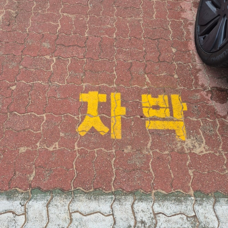 강원도 차박지 화진포 해수욕장 캠핑 고성 무료(비성수기) 차박 예약X 취사O