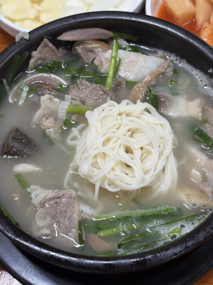 포항 점심 해도동맛집 국밥 진성국밥