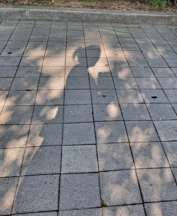  오랜만에 부산 출장