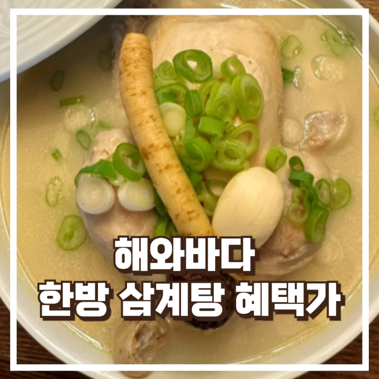  해와바다 찹쌀 한방 삼계탕 1.3kg, 초복 보양식으로 푸짐한 구성 리뷰, 혜택가