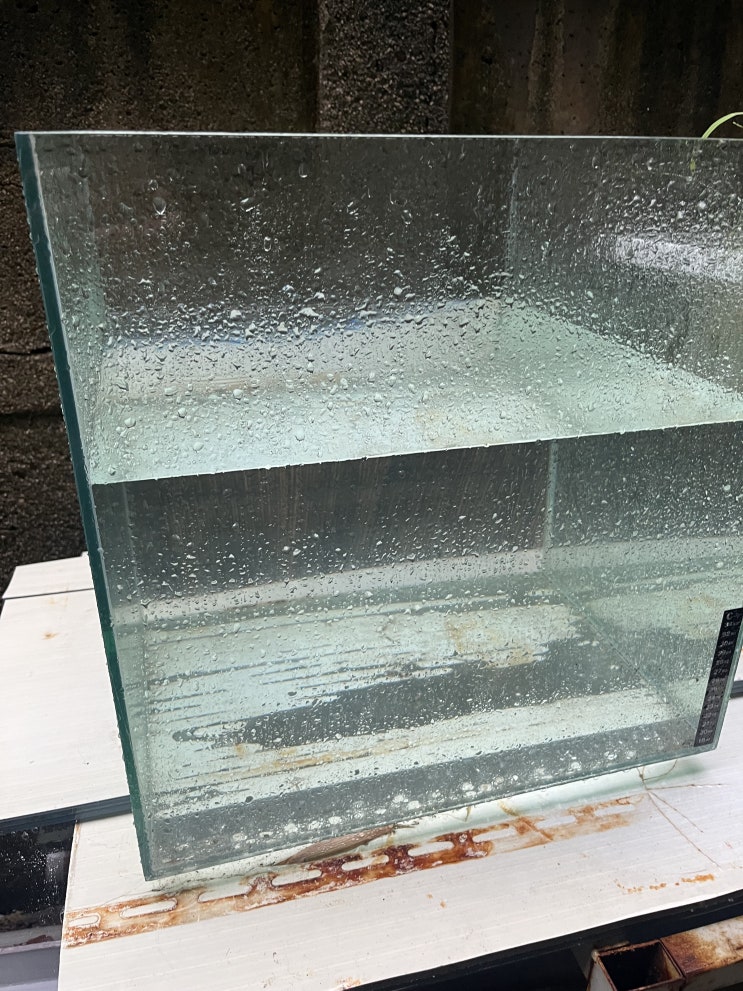  장마 안 온다며..... 기상중계청아..스포츠중계뿐 아니라 날씨도 그냥 중계할 거면...청주 강우량 미쳤다 / 그냥 비 오기 전에 구경함.