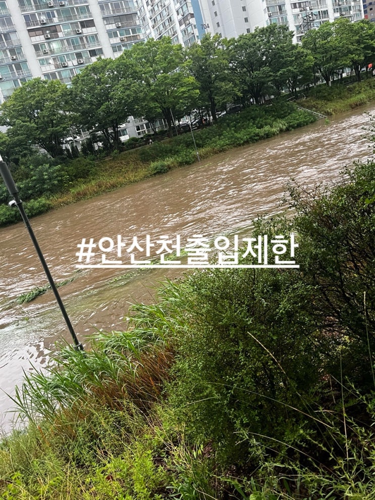 호우특보 <b>도로</b>침수 붕괴 차량<b>통제</b>  실시간 재난문자