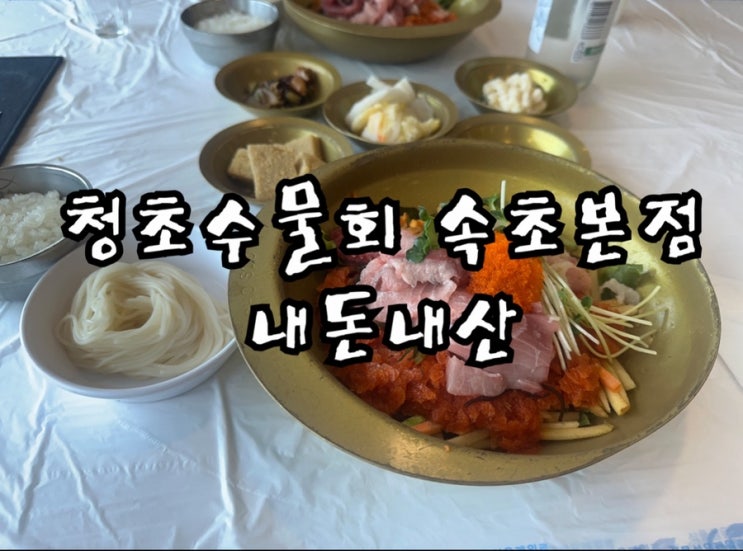  청초수물회 속초본점 내돈내산 솔직후기