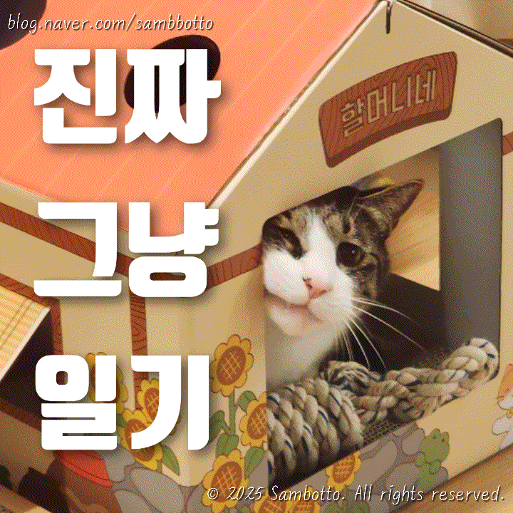  진짜 그냥 일기 | 맛있는 가지튀김, 귀여운 고양이