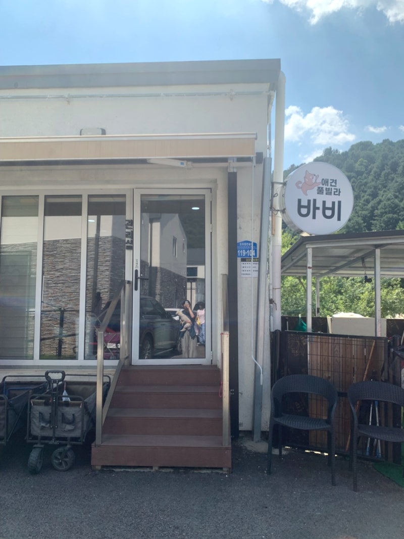 사진 5