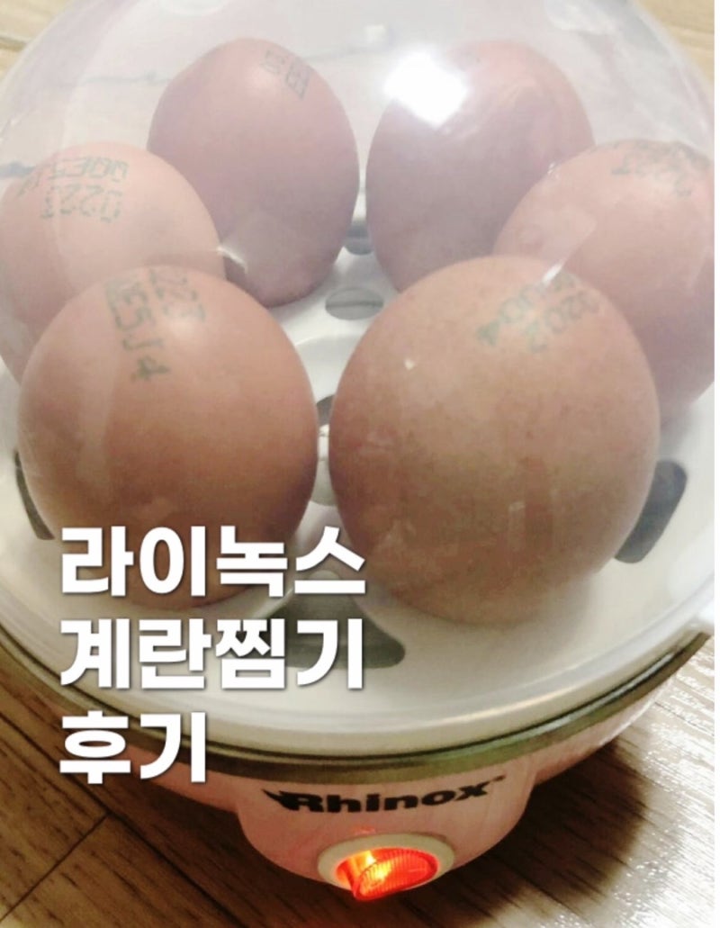 [리뷰] 라이녹스 계란찜기 사용법 | 달걀찜기 후기 삶은 계란 간편하고 빠르게 삶는 기계 에....