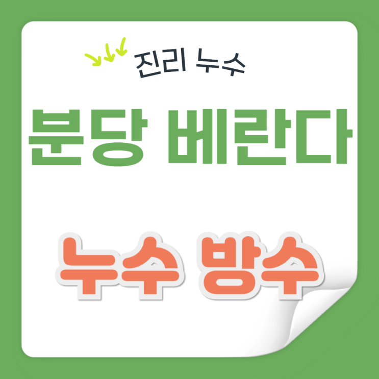  분당 베란다 누수 아파트 천장 샷시 창문 창틀 방수공사 업체 추천