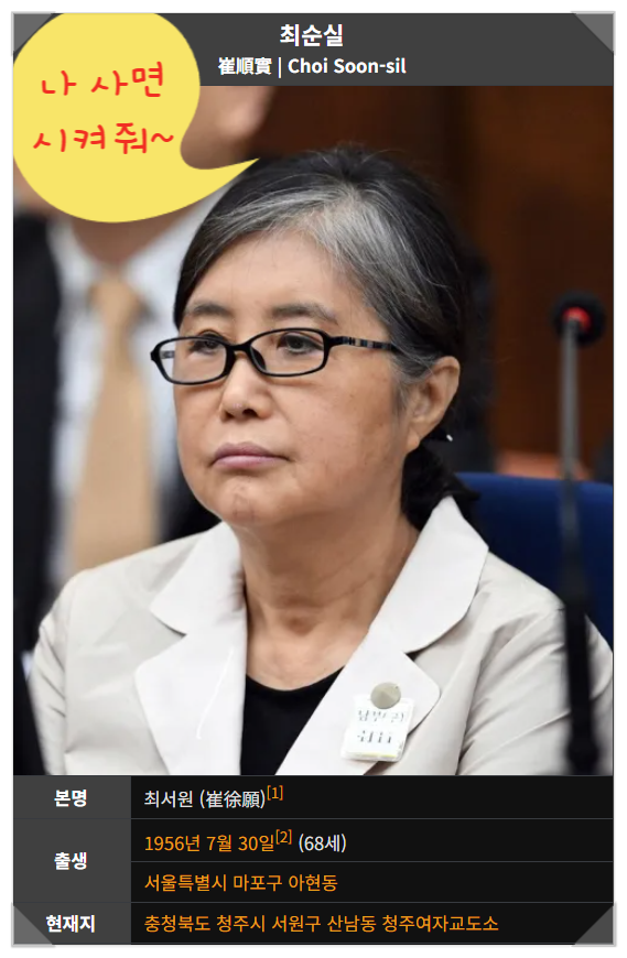  최순실 특별사면건의한 정규재, 최순실의 범죄 총정리