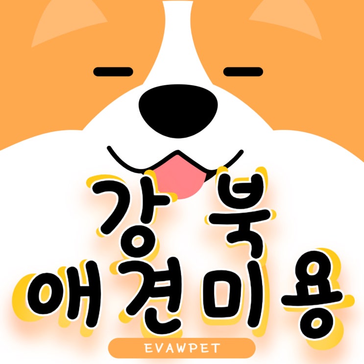  강북애견미용학원, 실전 중심의 펫뷰티션 전문가 양성소