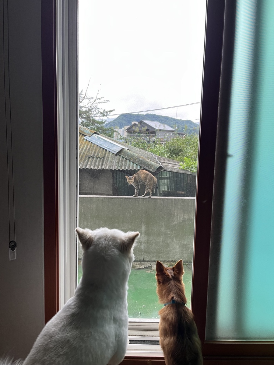 메종카누네 사진 4