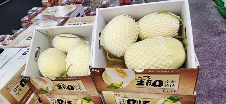  천안 백석동 천안시 로컬푸드 직매장 수신멜론 구입 맛본 후기