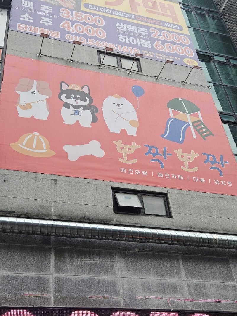 뽀짝뽀짝