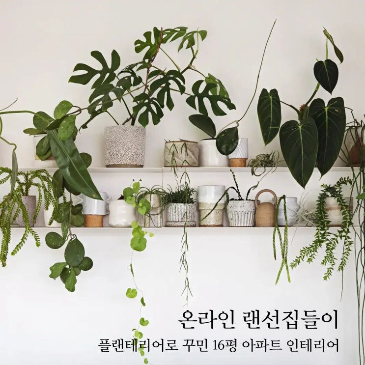  플랜테리어로 완성한 16평 아파트 온라인 랜선집들이