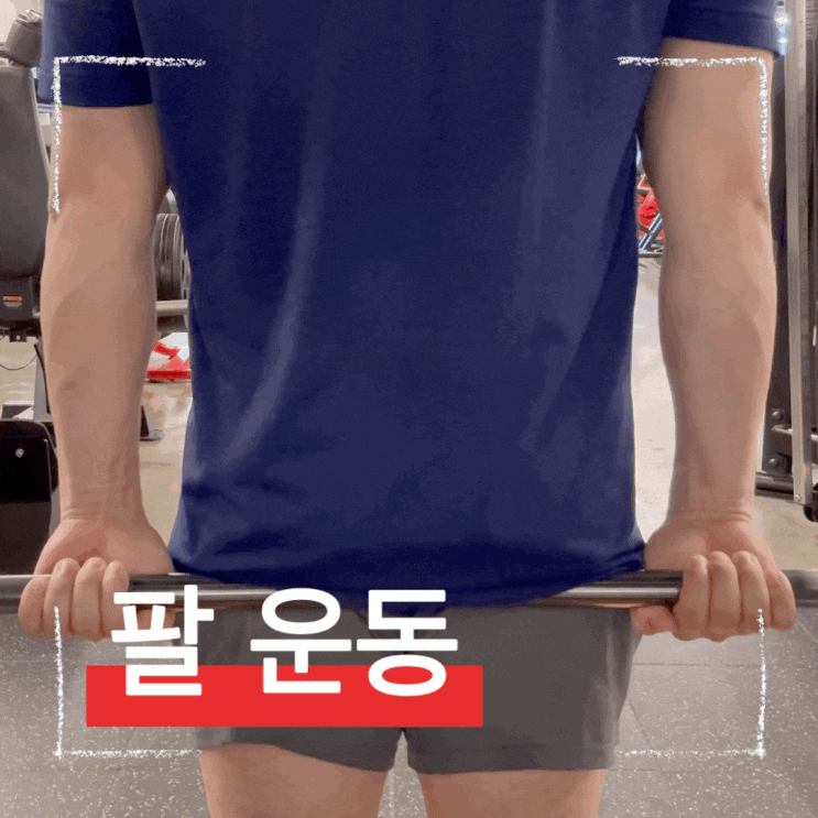  상체 완성의 숨은 핵심! 바벨 전완근 강화 운동 완벽 가이드