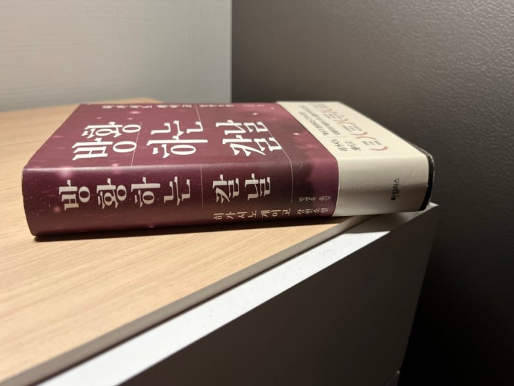  일본 소설 방황하는 칼날 줄거리 및 인물 소개 서평