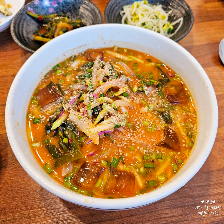  제주도 현지인 추천 노형동맛집 시원한 한치물회 점심으로 딱이에요