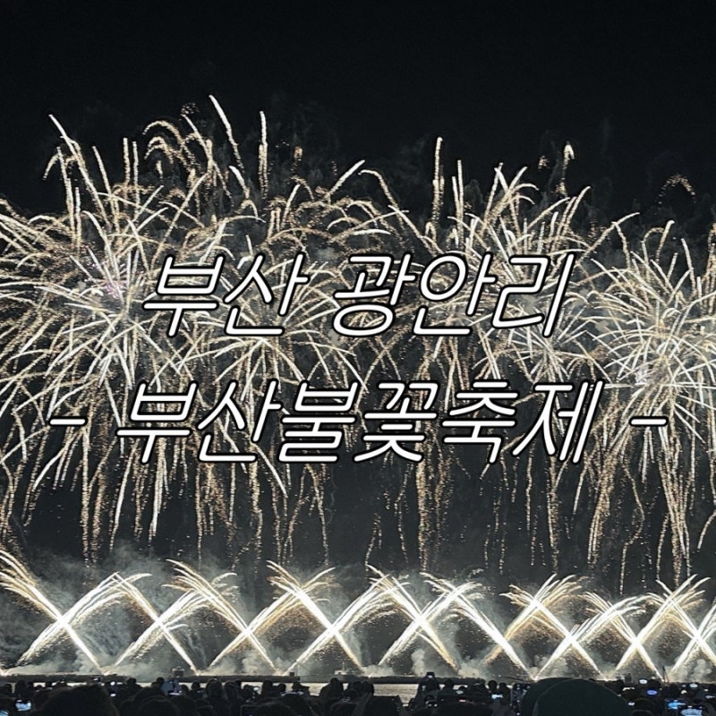 11월 축제 부산불꽃축제 그린존 솔직후기 | 부산 광안리 불꽃축제