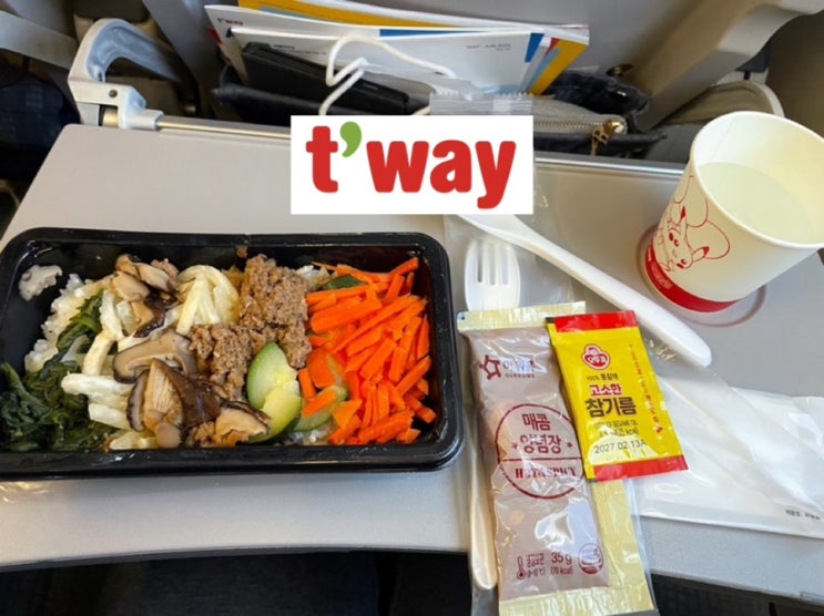  티웨이 유럽(독일) 직항 찐후기 | 기내식, 컵라면 결제, 수하물, 스크린, 좌석