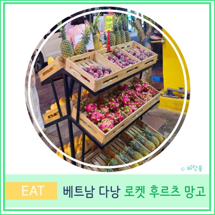 베트남 다낭 미케 비치 목 식당 옆 가성비 과일 가게 로켓 후르츠 망고