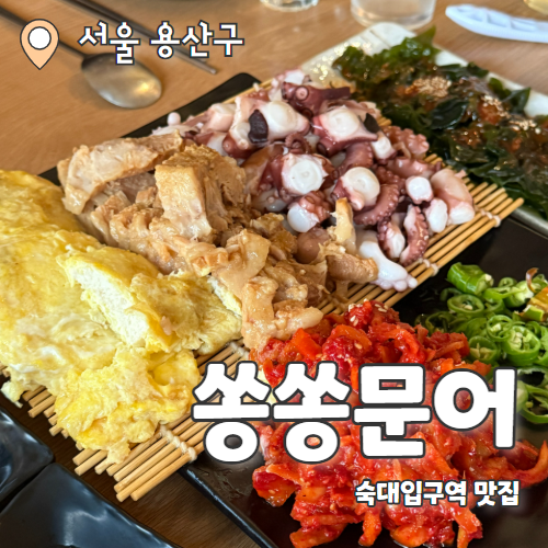 쏭쏭문어 : 신논현에서 숙대입구로 옮긴 두부문어삼합 또또또간맛집 내돈내산 후기