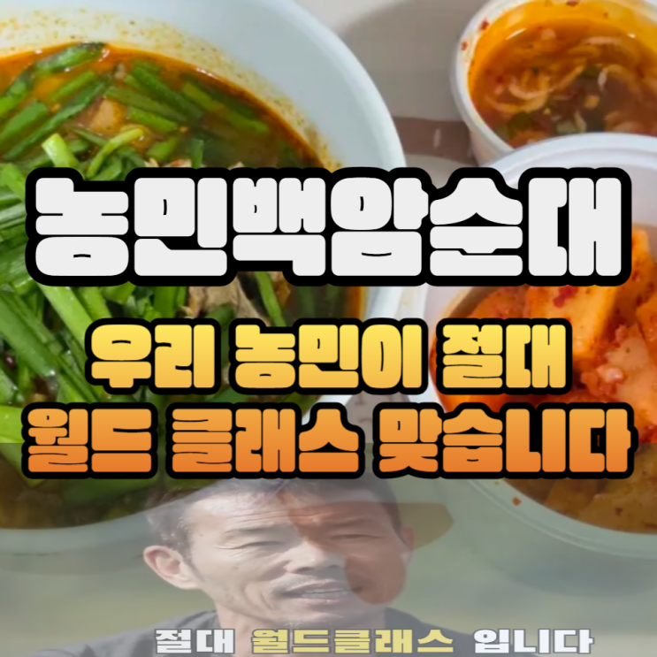  서울 순대국 맛집 농민백암순대 본점 국밥 특 포장 후기