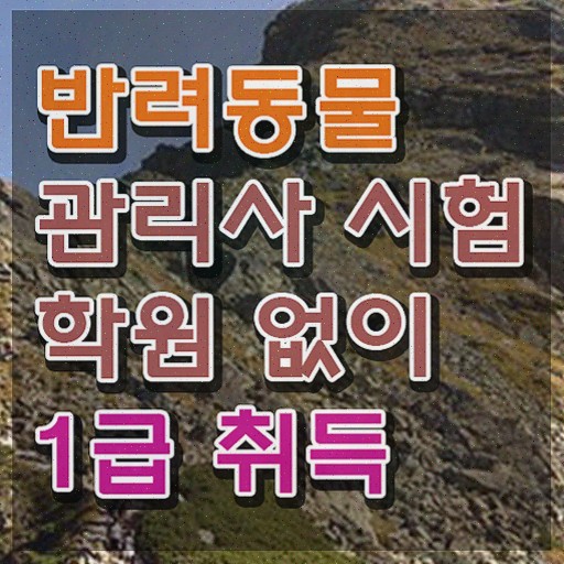  반려동물종합관리사 , 반려동물관리사 자격증 합격한 비법 핵심 정보 정리