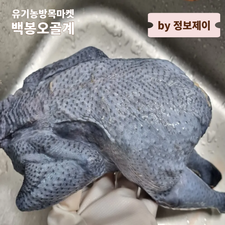  여름보양식 유기농방목마켓 백봉오골계 백숙 만들기