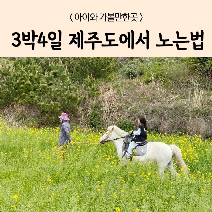  여름휴가 추천! 3박4일 제주도여행 가성비로 노는 법