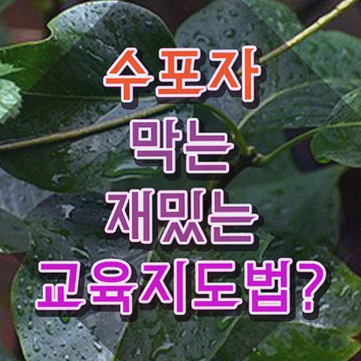  스토리텔링수학문제 , 스토리텔링수학지도사 자격증 2주 만에 시험준비
