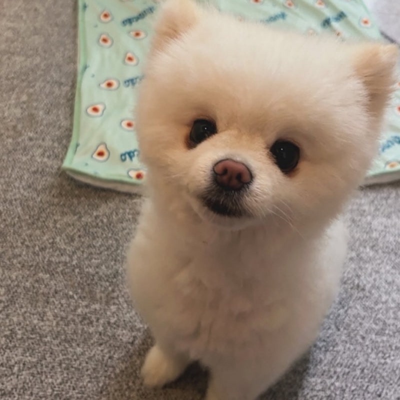 사진 2