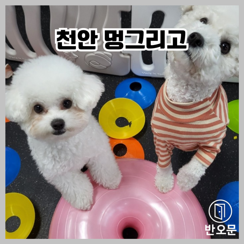 사진 3