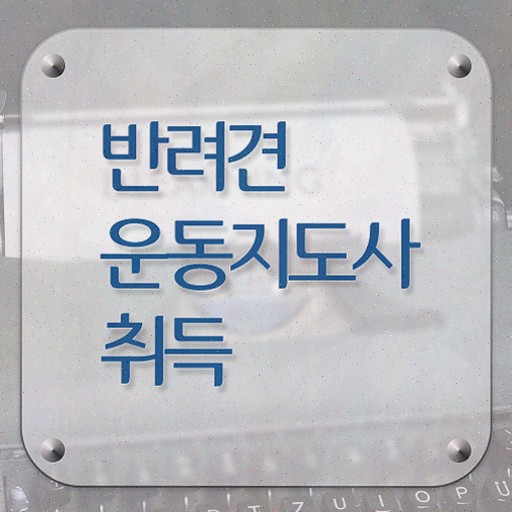  기술 자격증 추천 , 타로상담전문가 관련학과 아니어도 빠르게 준비하는 방법