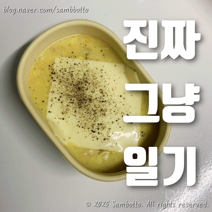  진짜 그냥 일기 | 평범한 일상, 다이소 실리콘 도시락, 양파당근오트밀, 직장인 도시락 일기, 선선해진 날씨 굿
